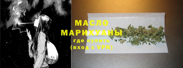 гашик Няндома