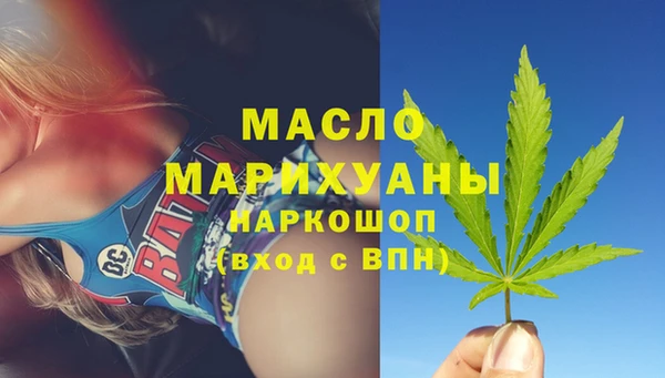 гашик Няндома