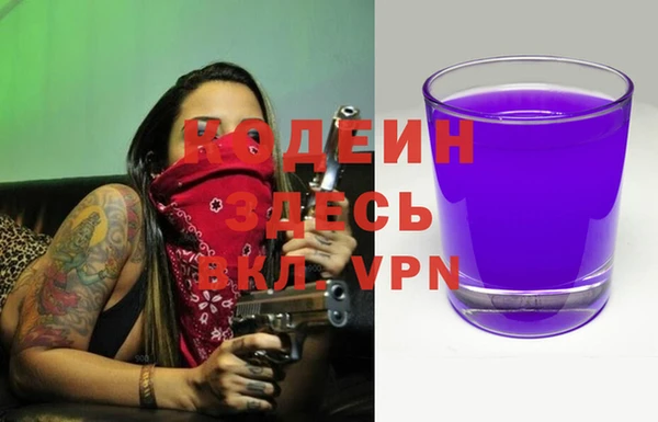 гашик Няндома