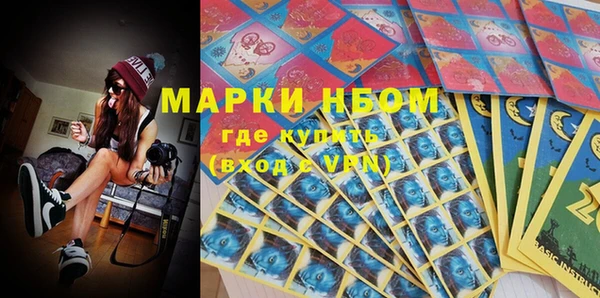 гашик Няндома