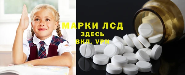 гашик Няндома