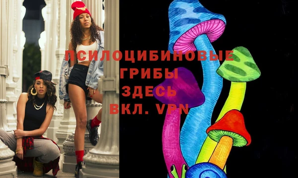 гашик Няндома