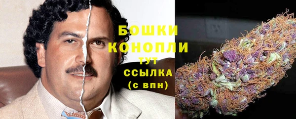 молекула духа Новокубанск