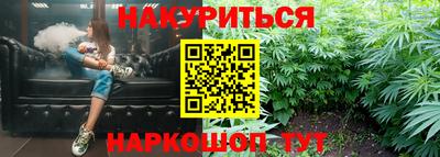 сатива Будённовск