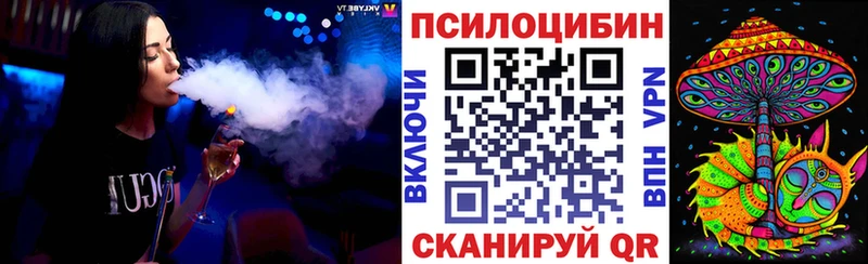 блэк спрут зеркало  Кизилюрт  Псилоцибиновые грибы Psilocybe  где купить наркоту 