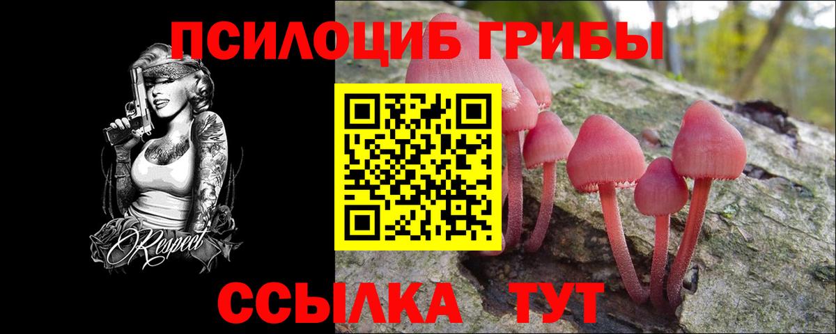 Псилоцибиновые грибы Cubensis Кизилюрт